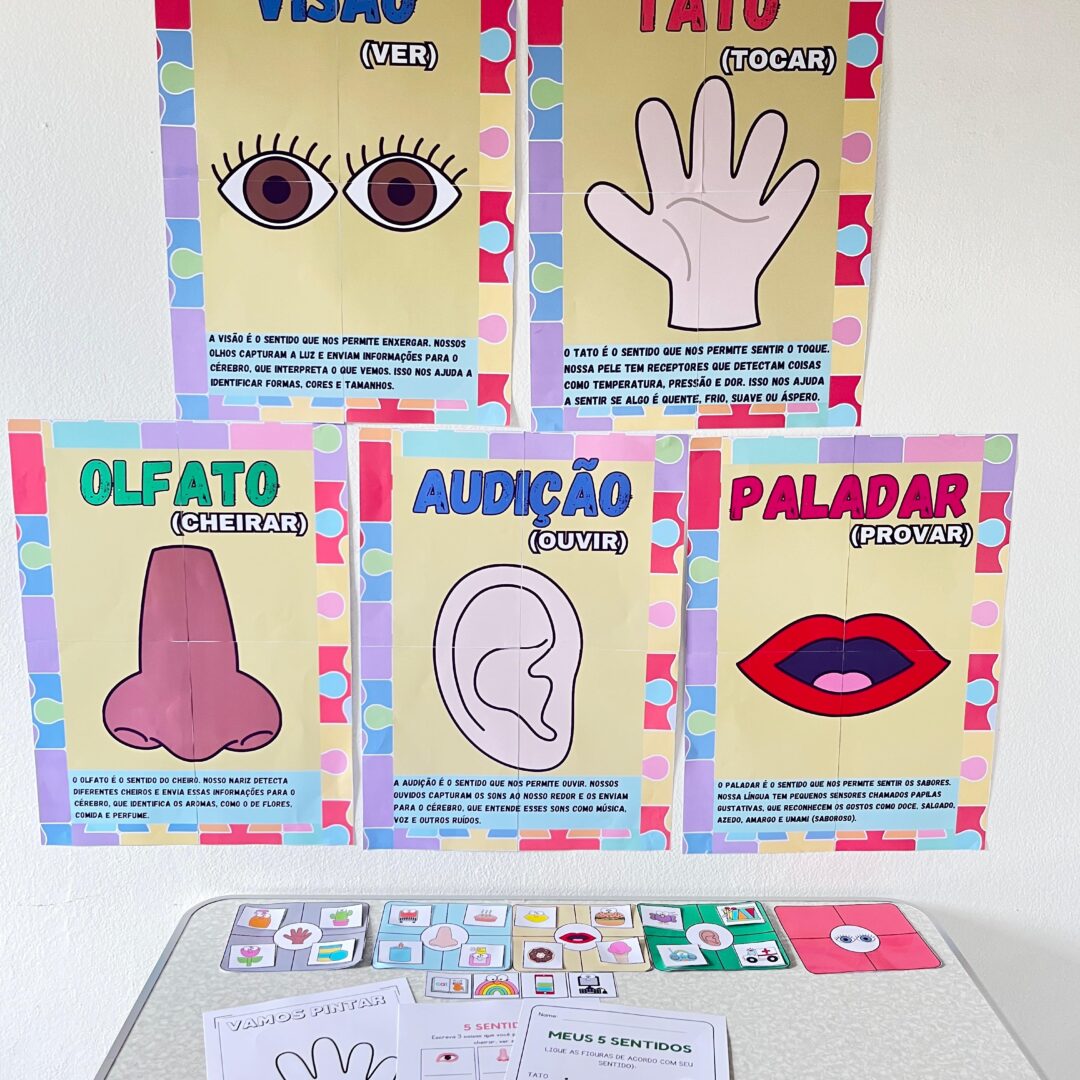 OS CINCOS SENTIDOS
