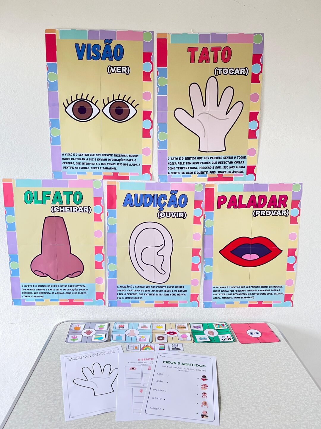 OS CINCOS SENTIDOS