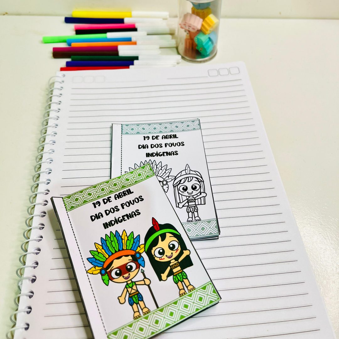 MINI BOOK POVOS NDÍGENAS