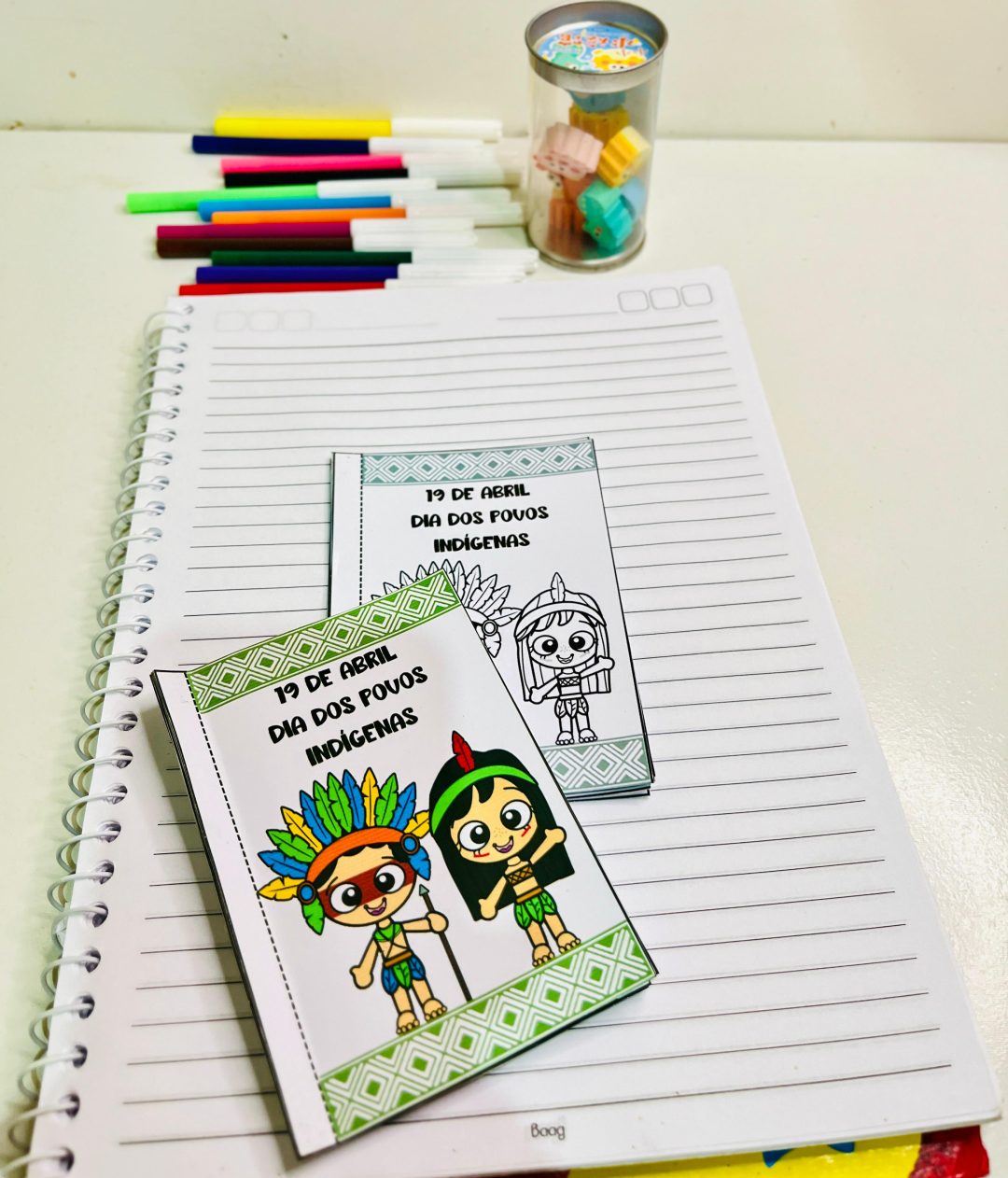 MINI BOOK POVOS NDÍGENAS