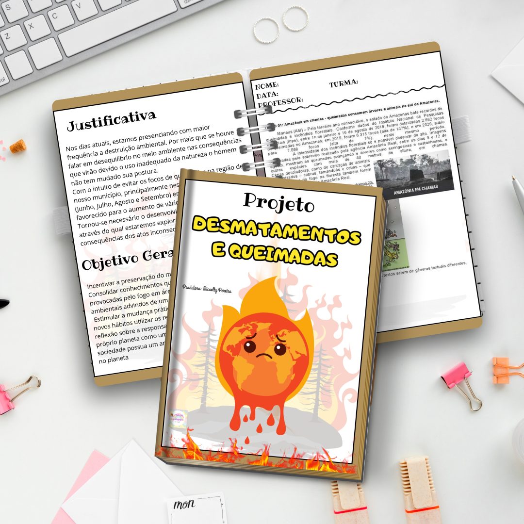 PROJETO DESMATAMENTO E QUEIMADAS