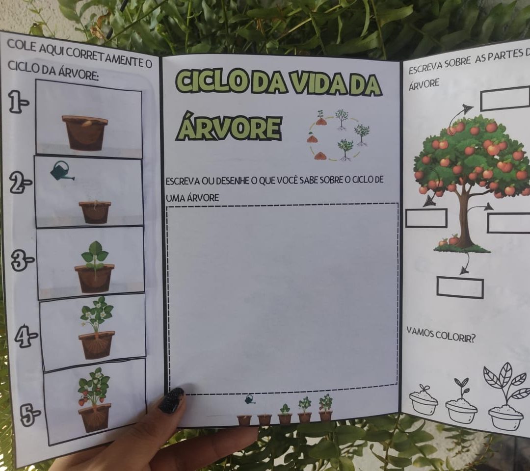 LAPBOOK: DIA DA ÁRVORE