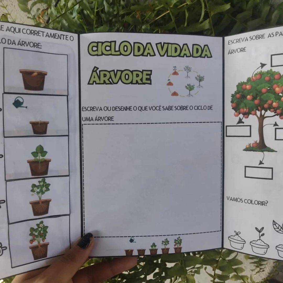 LAPBOOK/ LIVRINHO: DIA DA ÁRVORE